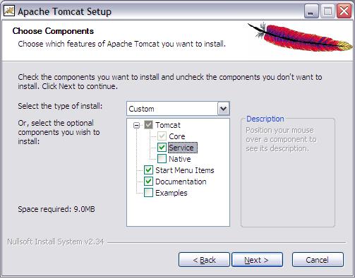 Tomcat - Choose Components